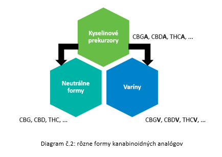 kanabinoidy diagram 2